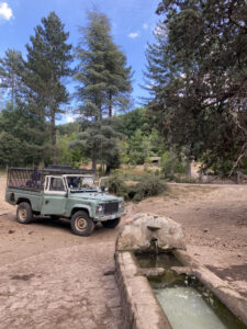 Barbagia Montes