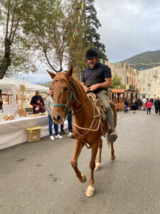 Cortes Orgosolo cavallo