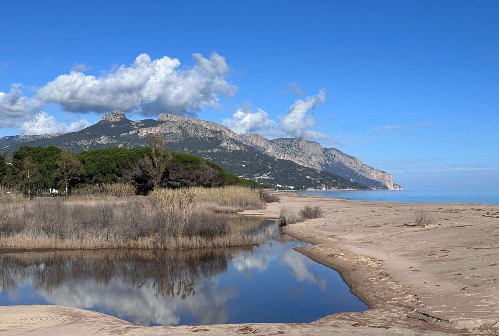 Storia di una continentale dall’Ogliastra adottata