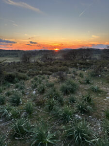 Tramonto Barbagia