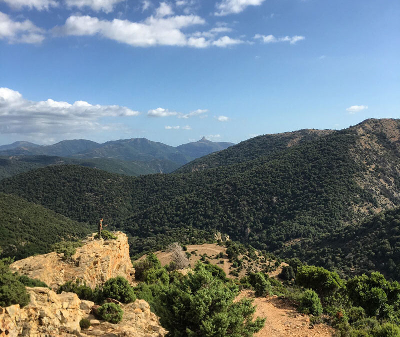 Gennargentu: la porta del vento