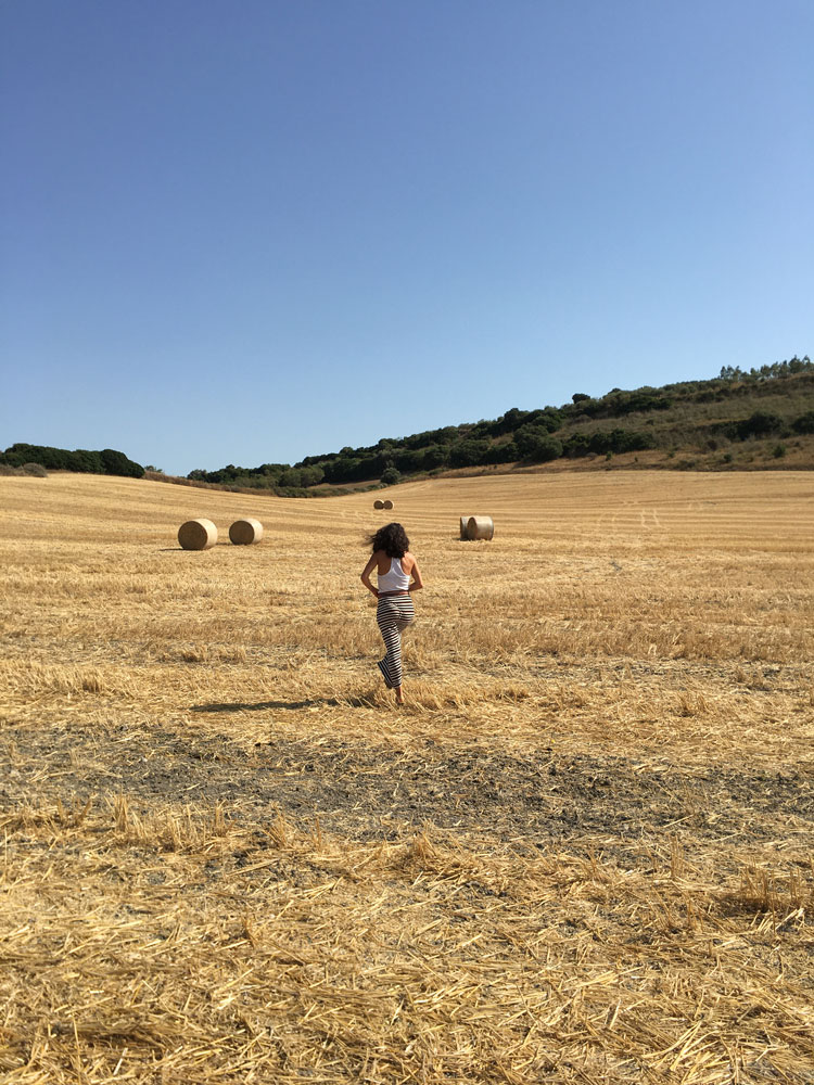 Trexenta Marmilla Sarcidano la campagna toscana in Sardegna