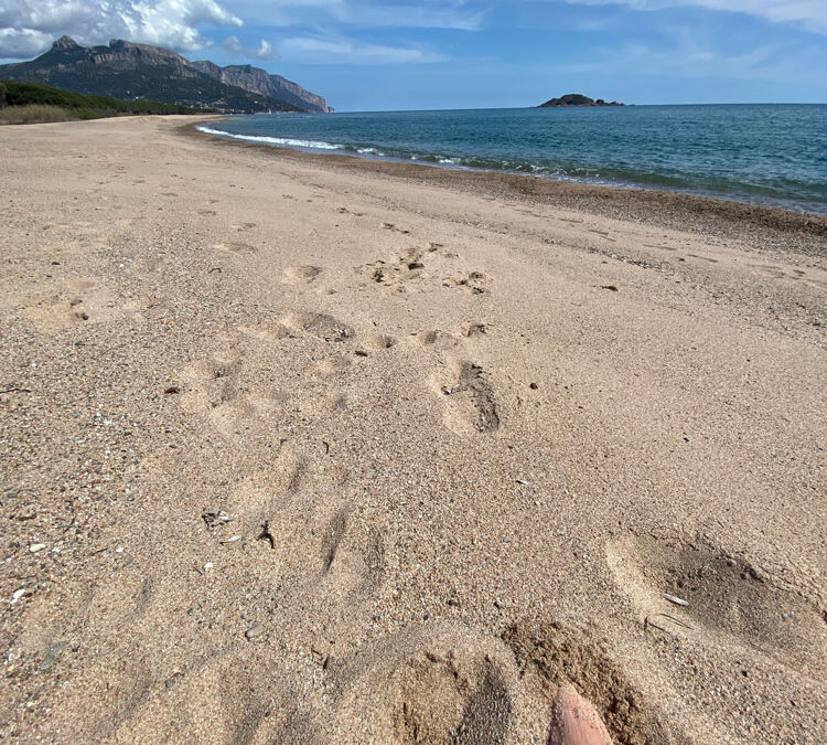 Spiagge in Ogliastra da Santa Maria Navaresse ad Arbatax
