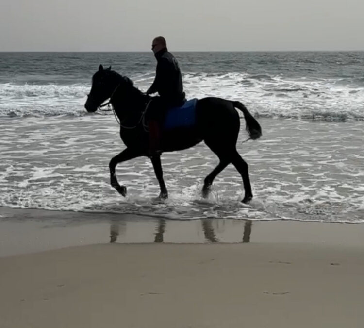 Lido di Orrì: l’abbraccio di Nettuno
