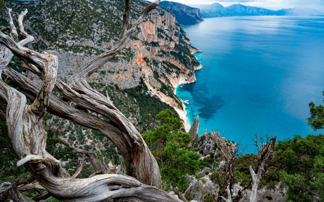 Selvaggio Blu trekking tra cielo mare e terra
