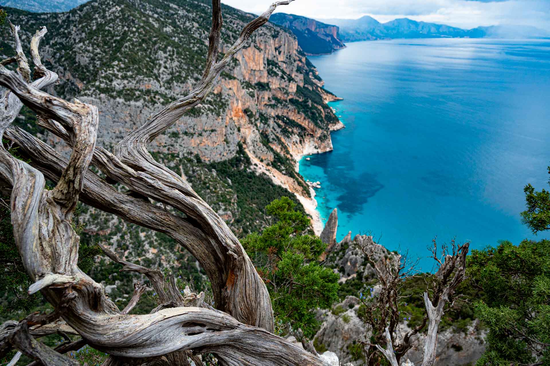 Selvaggio Blu trekking tra cielo mare e terra