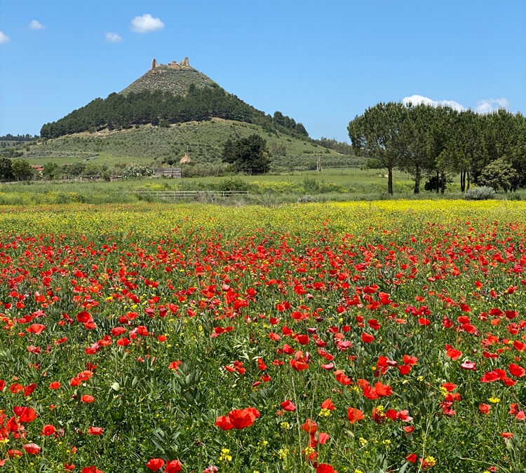 Sud Sardegna in 7 giorni: il centro ovest dell’isola tra cultura e mare