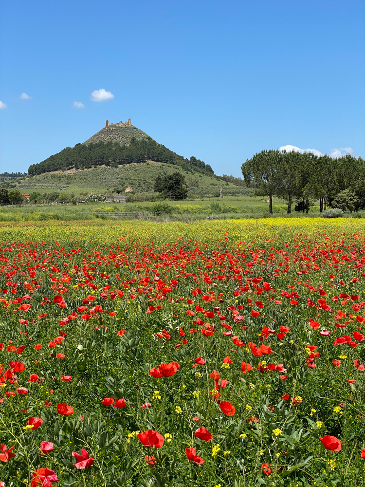 Sud Sardegna in 7 giorni: il centro ovest dell’isola tra cultura e mare
