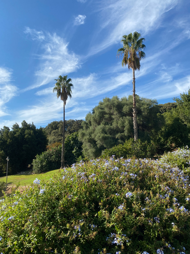 Parco Monserrato 1