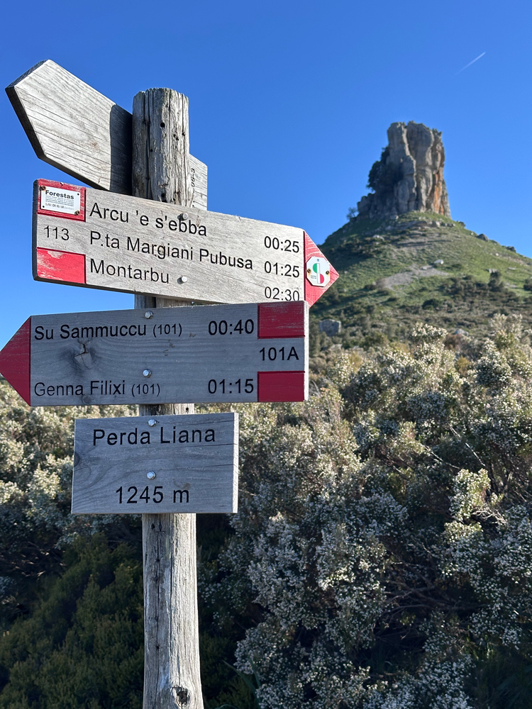 Autunno Ogliastra Barbagia