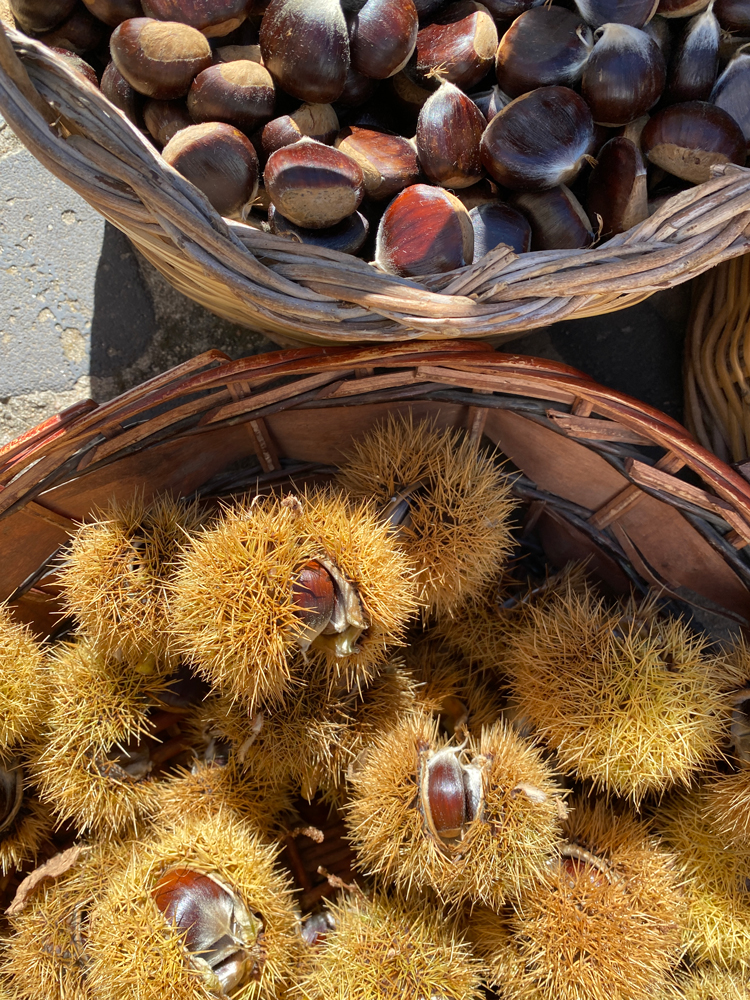 Castagne