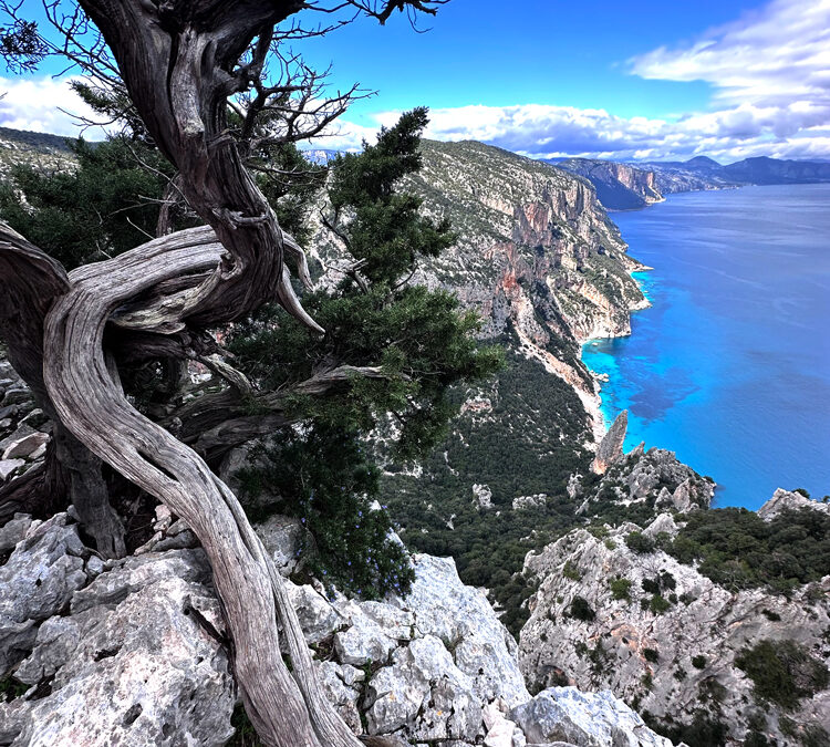 Autunno in Ogliastra e Barbagia: luoghi, eventi e mangiarini buoni