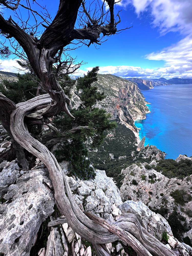 Autunno in Ogliastra e Barbagia: luoghi, eventi e mangiarini buoni