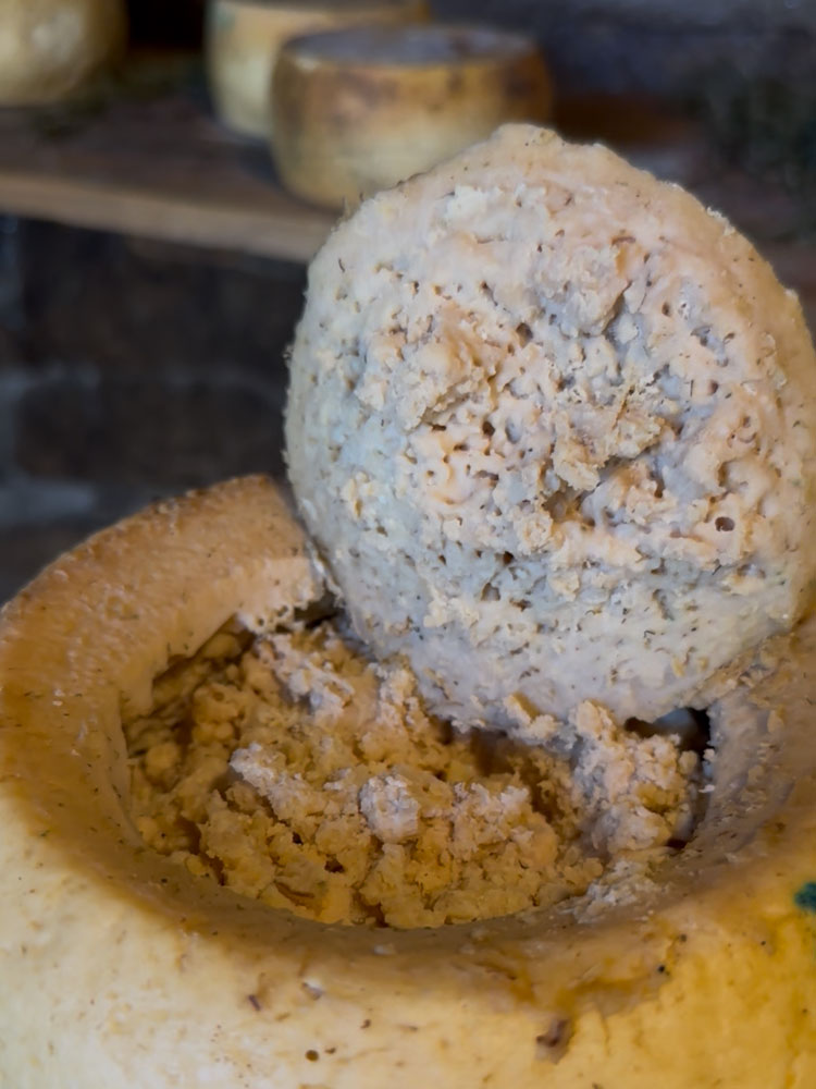 Casu Martzu Murtarba Casu Martzu Murtarba