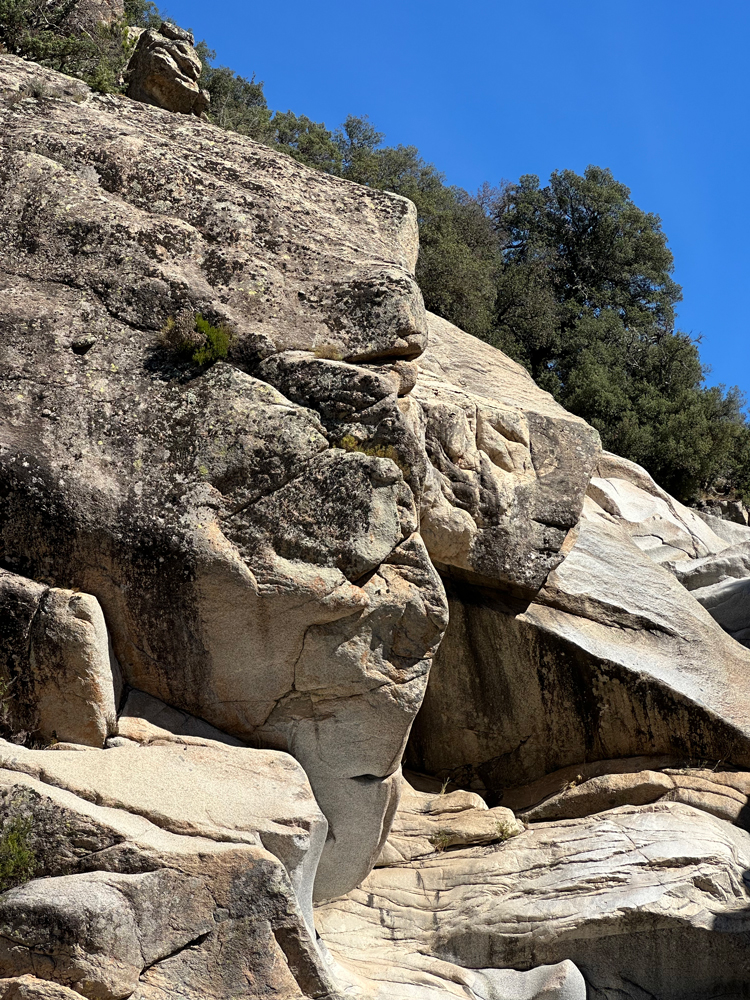 Bau Mela faccia Bau Mela faccia