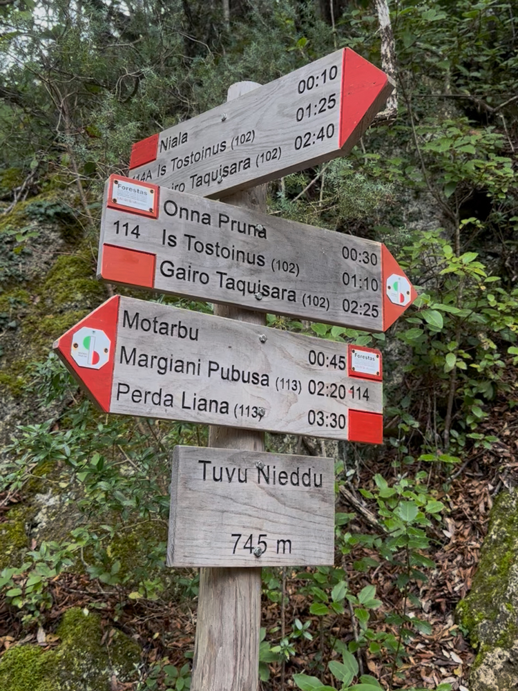 Tuvu Nieddu sentiero