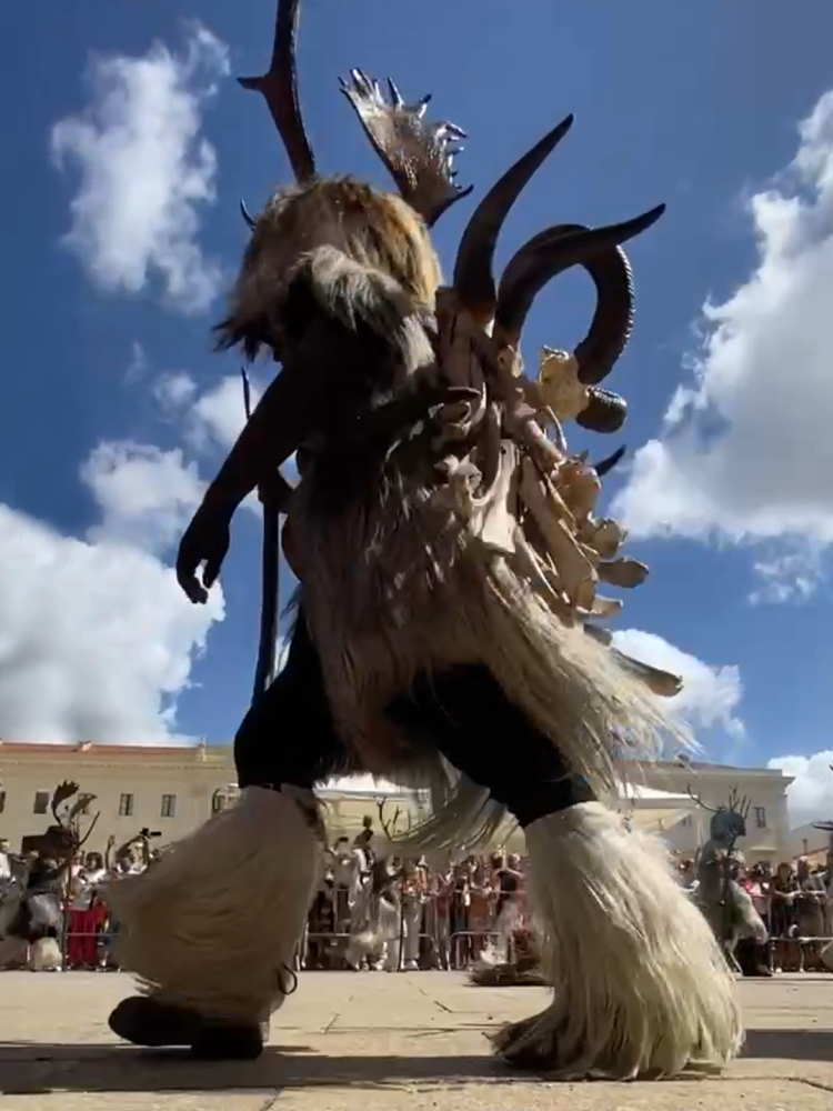 sos Corriolos Neoneli